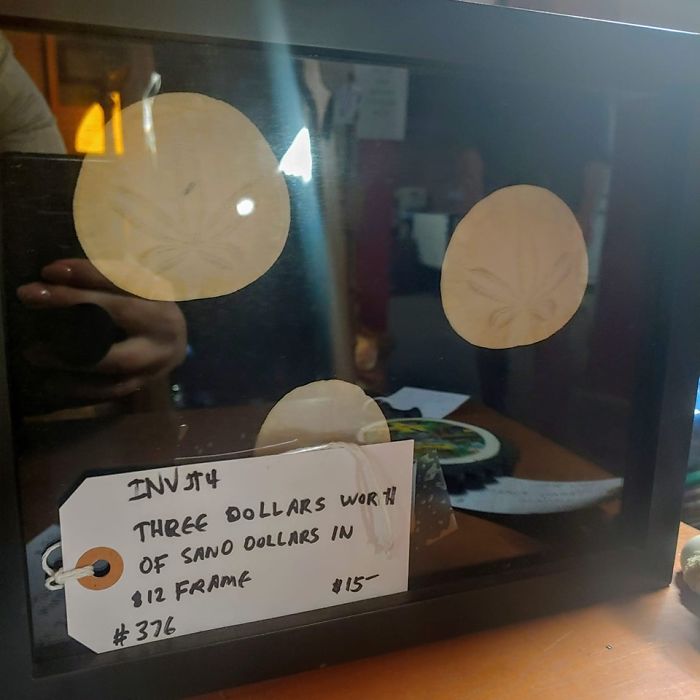 The Most Reasonably Priced Item I've Ever Seen