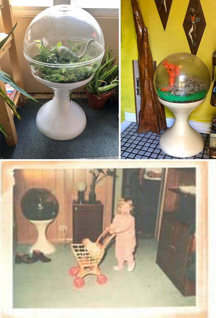 So My Parents Had This Rad Plastic Terrarium When I Was Little And I Spent Much Of My Adulthood Looking And Wishing For One. So Of Course I Now Have 2 I Love That It’s In Spaceship Earth At Epcot, Too