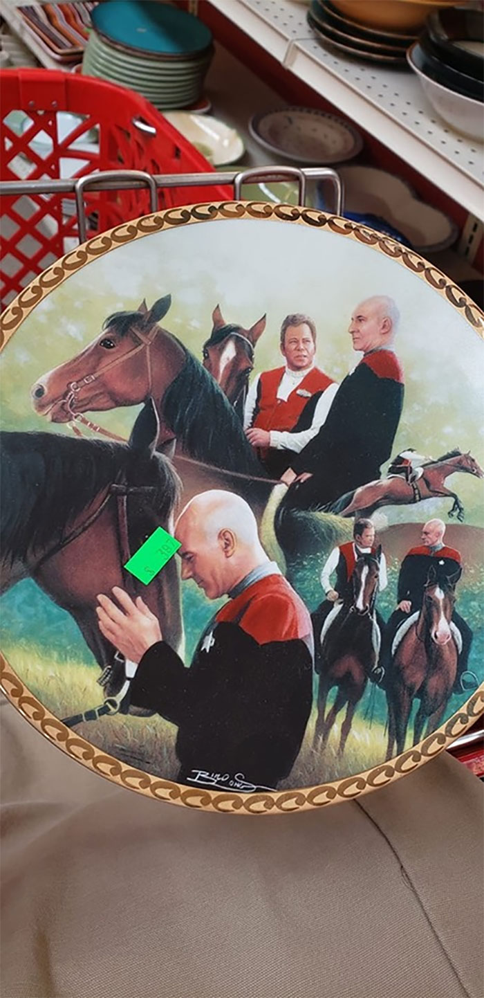 They Say Art Gives Voice To Our Dreams... Still At The St. Charles, Il Salvation Army If You Want To Get It For Yourself