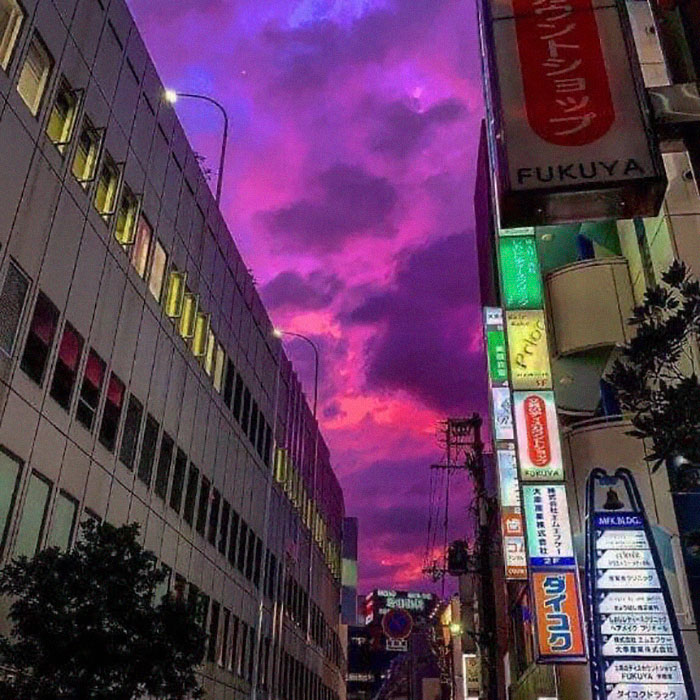 People In Japan Were Admiring The Incredibly Purple Sky, But It's A Sign Of A Typhoon People In Japan Were Admiring The Incredibly Purple Sky, But It's A Sign Of A Typhoon