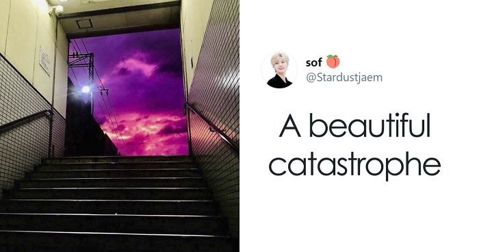 People In Japan Were Admiring The Incredibly Purple Sky, But It’s A Sign Of A TyphoonPeople In Japan Were Admiring The Incredibly Purple Sky, But It’s A Sign Of A Typhoon