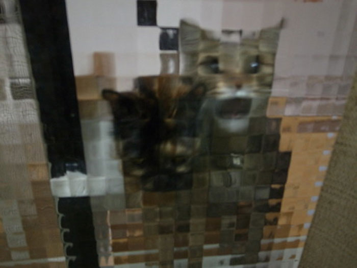 11 Times People Spotted Pixel Cats In Real Life And Just Had To Share