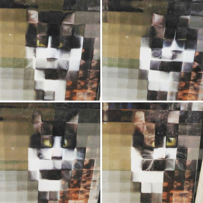 11 Times People Spotted Pixel Cats In Real Life And Just Had To Share