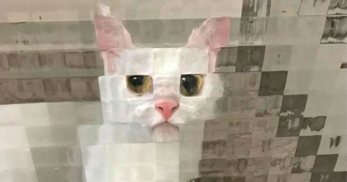 25 Times People Spotted Pixel Cats In Real Life And Just Had To Share