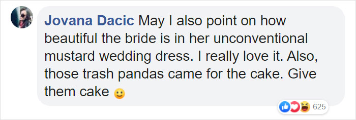 This Gang Of Racoons Crashes A Wedding Photoshoot And It's Both Cute And Hilarious This Gang Of Racoons Crashes A Wedding Photoshoot And It's Both Cute And Hilarious