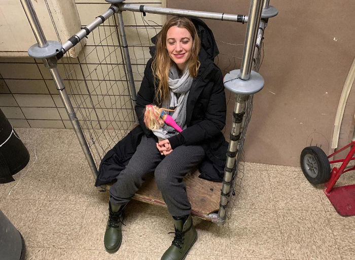 Blake Lively Trolls Ryan Reynolds For His Birthday With A Post That Is Both Sweet And Silly Blake Lively Trolls Ryan Reynolds For His Birthday With A Post That Is Both Sweet And Silly