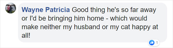 'Broken And Forgotten' Dog Can't Stop Smiling After He Realizes He's Being Rescued