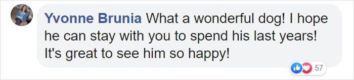 'Broken And Forgotten' Dog Can't Stop Smiling After He Realizes He's Being Rescued