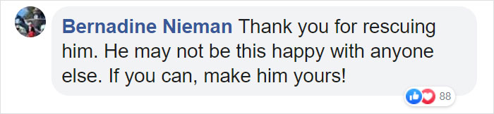 'Broken And Forgotten' Dog Can't Stop Smiling After He Realizes He's Being Rescued