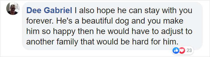'Broken And Forgotten' Dog Can't Stop Smiling After He Realizes He's Being Rescued