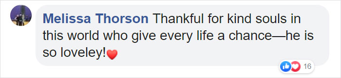 'Broken And Forgotten' Dog Can't Stop Smiling After He Realizes He's Being Rescued