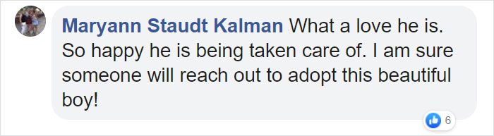 'Broken And Forgotten' Dog Can't Stop Smiling After He Realizes He's Being Rescued