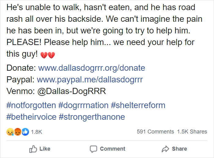 'Broken And Forgotten' Dog Can't Stop Smiling After He Realizes He's Being Rescued