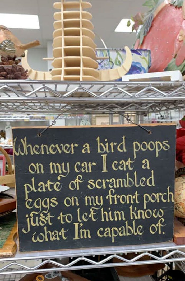 Goodwill Find Today! Lol