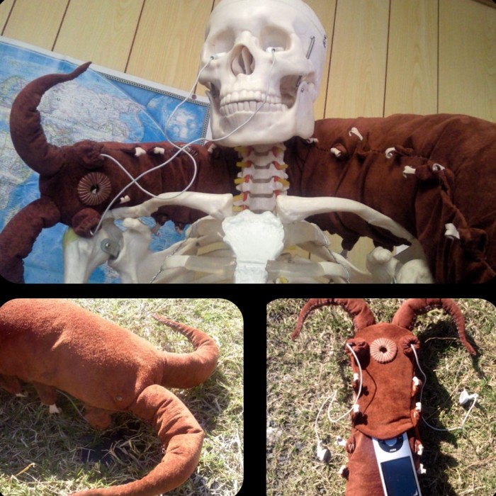 Insects-Bugs-Inspired-Bags-Accessories-Amaheso