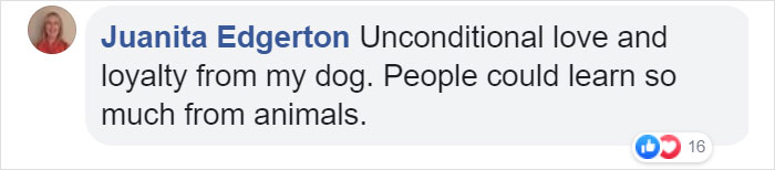 Scientists Discover That Some Humans Tend To Love Pets More Than Other Humans