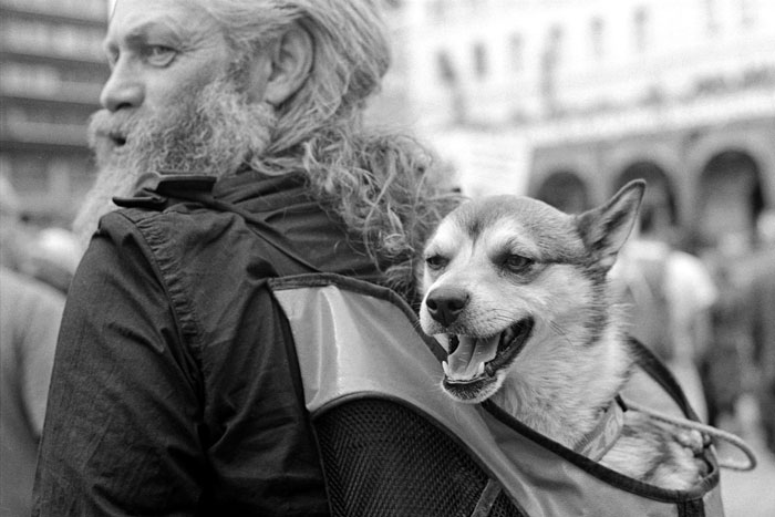 Scientists Discover That Some Humans Tend To Love Pets More Than Other Humans