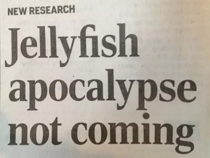 Stupid-Funny-Newspaper-Headlines