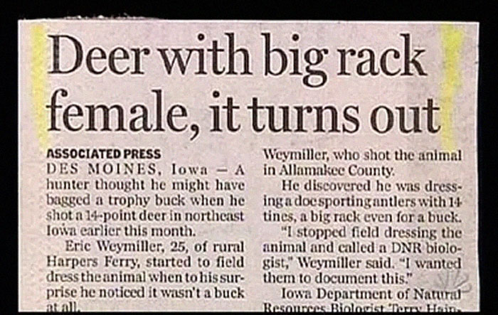 Stupid-Funny-Newspaper-Headlines