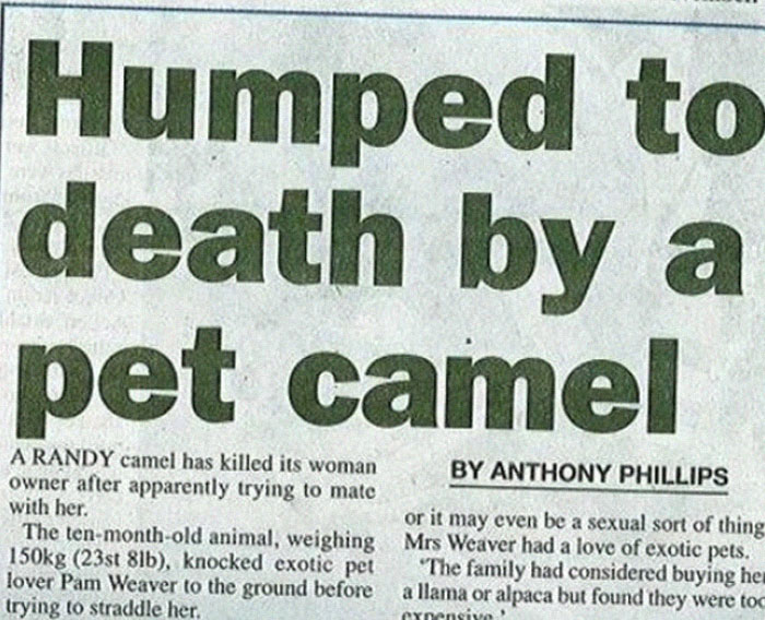 Stupid-Funny-Newspaper-Headlines