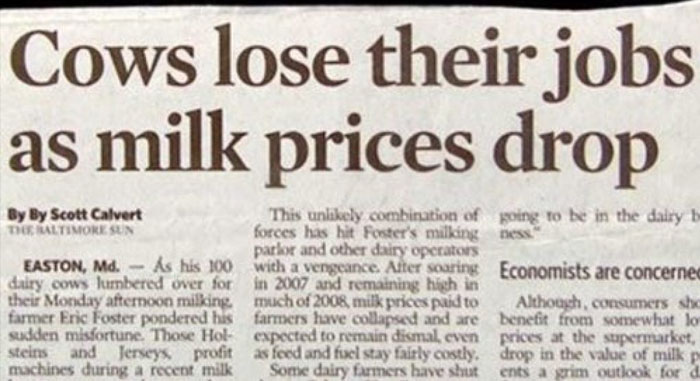 Stupid-Funny-Newspaper-Headlines