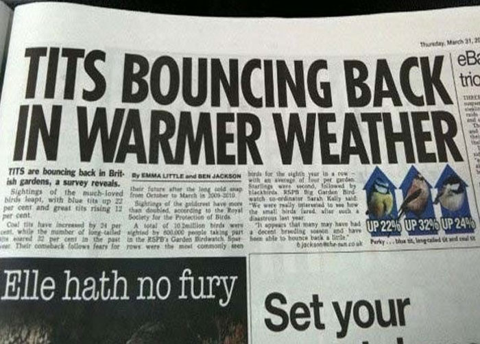 Stupid-Funny-Newspaper-Headlines