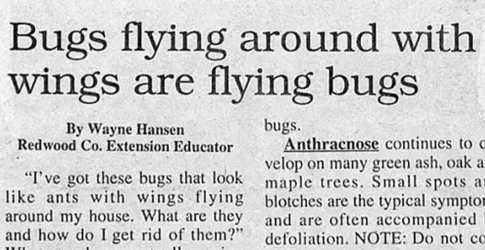 Stupid-Funny-Newspaper-Headlines