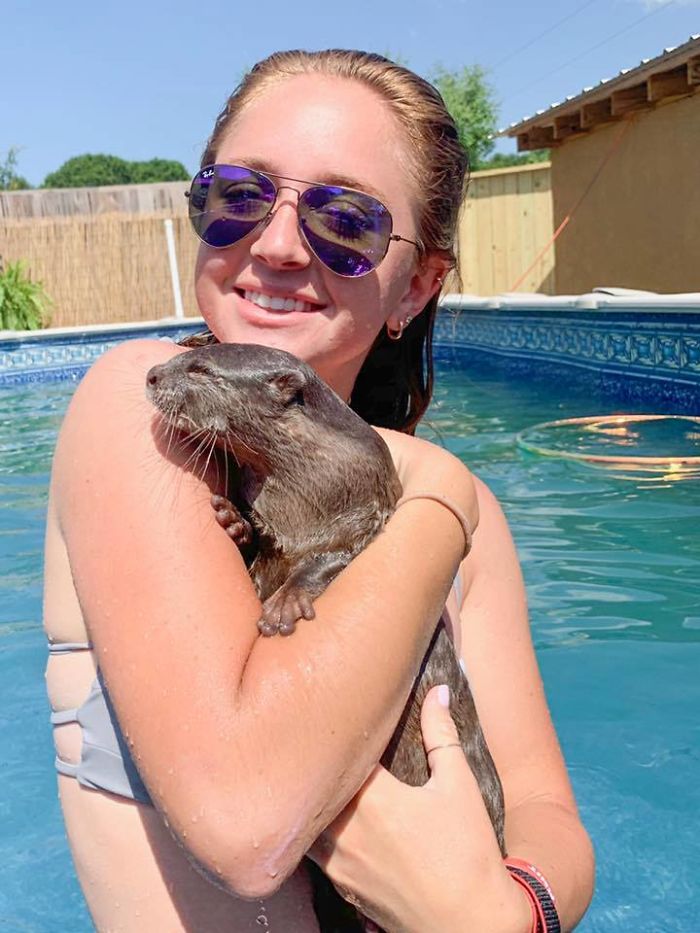 Adults Can Swim With Tiny Otters At This Animal Preserve, And The Photos Are Adorable Adults Can Swim With Tiny Otters At This Animal Preserve, And The Photos Are Adorable
