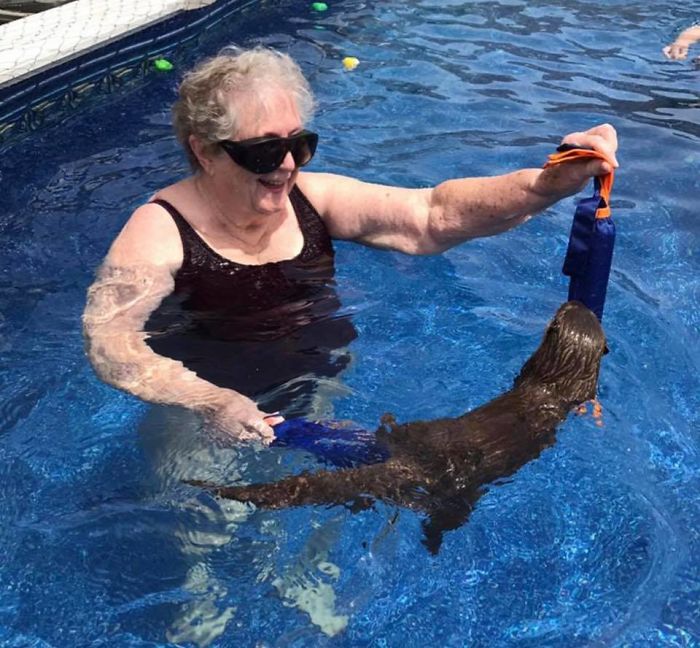 Adults Can Swim With Tiny Otters At This Animal Preserve, And The Photos Are Adorable Adults Can Swim With Tiny Otters At This Animal Preserve, And The Photos Are Adorable