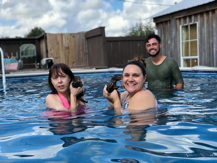 Adults Can Swim With Tiny Otters At This Animal Preserve, And The Photos Are Adorable Adults Can Swim With Tiny Otters At This Animal Preserve, And The Photos Are Adorable