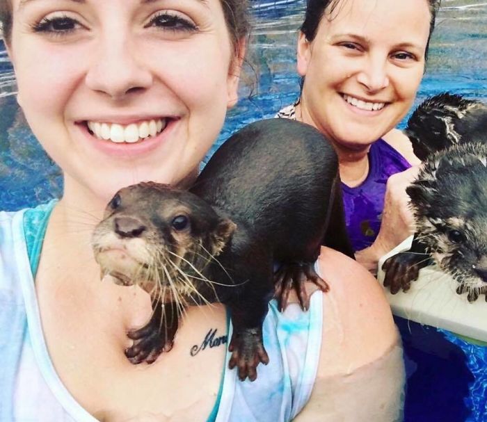 Adults Can Swim With Tiny Otters At This Animal Preserve, And The Photos Are Adorable