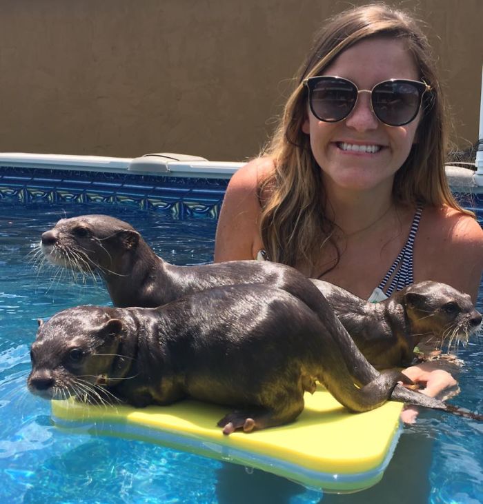 Adults Can Swim With Tiny Otters At This Animal Preserve, And The Photos Are Adorable Adults Can Swim With Tiny Otters At This Animal Preserve, And The Photos Are Adorable