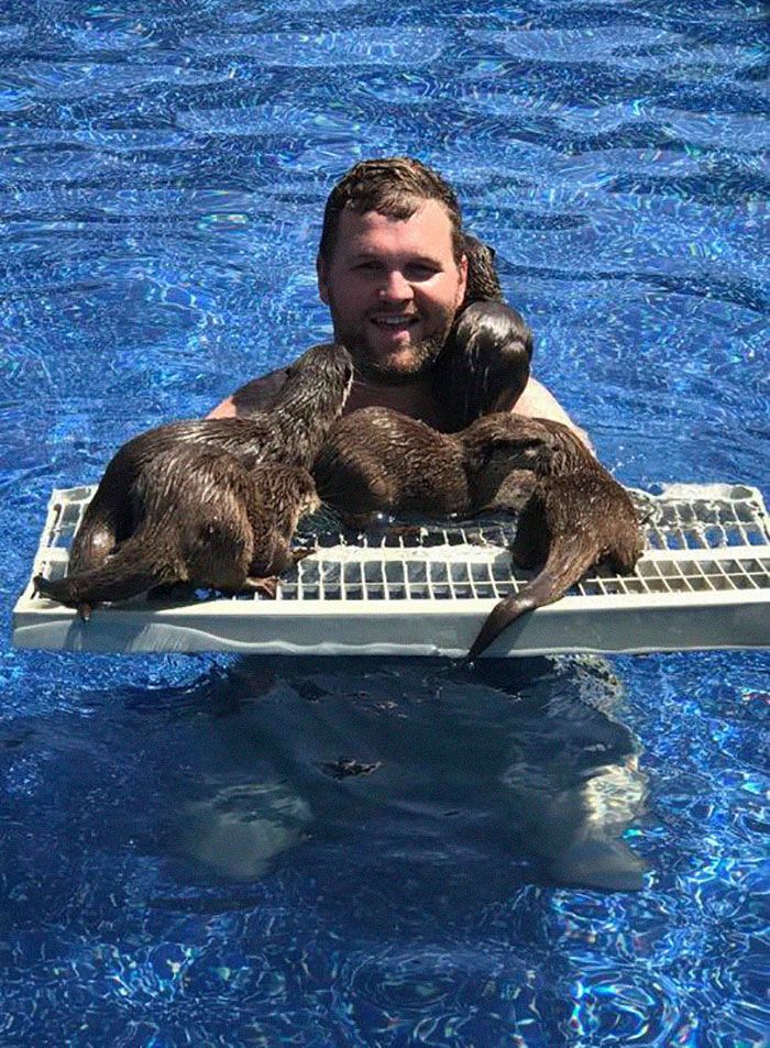 Adults Can Swim With Tiny Otters At This Animal Preserve, And The Photos Are Adorable