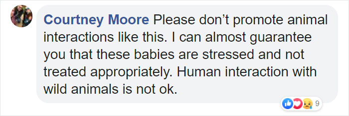 Adults Can Swim With Tiny Otters At This Animal Preserve, And The Photos Are Adorable Adults Can Swim With Tiny Otters At This Animal Preserve, And The Photos Are Adorable