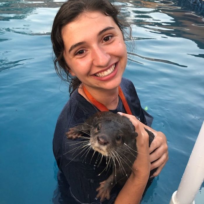 Adults Can Swim With Tiny Otters At This Animal Preserve, And The Photos Are Adorable