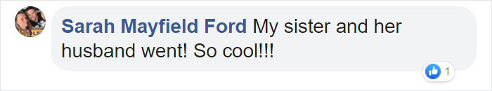 Adults Can Swim With Tiny Otters At This Animal Preserve, And The Photos Are Adorable