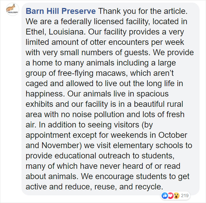 Adults Can Swim With Tiny Otters At This Animal Preserve, And The Photos Are Adorable Adults Can Swim With Tiny Otters At This Animal Preserve, And The Photos Are Adorable