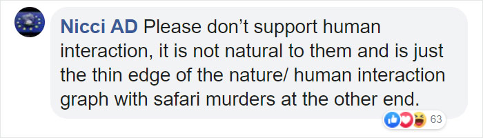 Adults Can Swim With Tiny Otters At This Animal Preserve, And The Photos Are Adorable