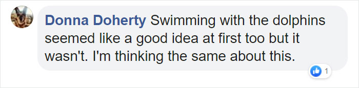 Adults Can Swim With Tiny Otters At This Animal Preserve, And The Photos Are Adorable