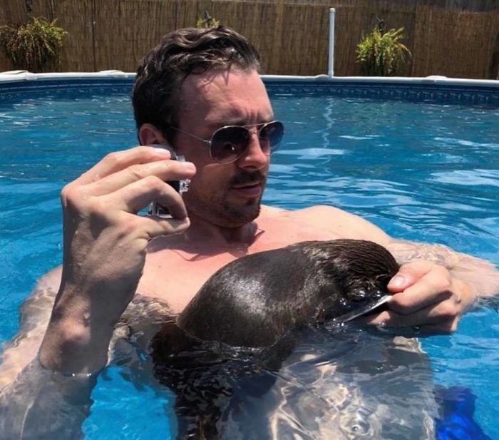 Adults Can Swim With Tiny Otters At This Animal Preserve, And The Photos Are Adorable