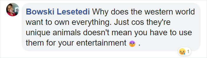 Adults Can Swim With Tiny Otters At This Animal Preserve, And The Photos Are Adorable Adults Can Swim With Tiny Otters At This Animal Preserve, And The Photos Are Adorable