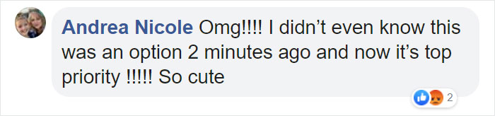 Adults Can Swim With Tiny Otters At This Animal Preserve, And The Photos Are Adorable