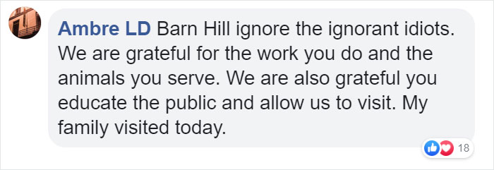 Adults Can Swim With Tiny Otters At This Animal Preserve, And The Photos Are Adorable Adults Can Swim With Tiny Otters At This Animal Preserve, And The Photos Are Adorable