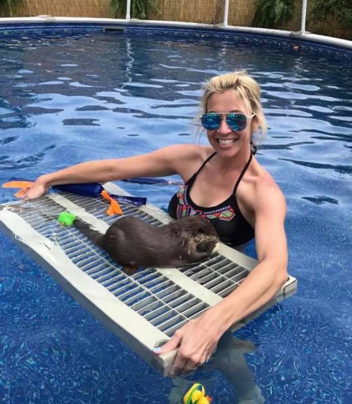 Adults Can Swim With Tiny Otters At This Animal Preserve, And The Photos Are Adorable