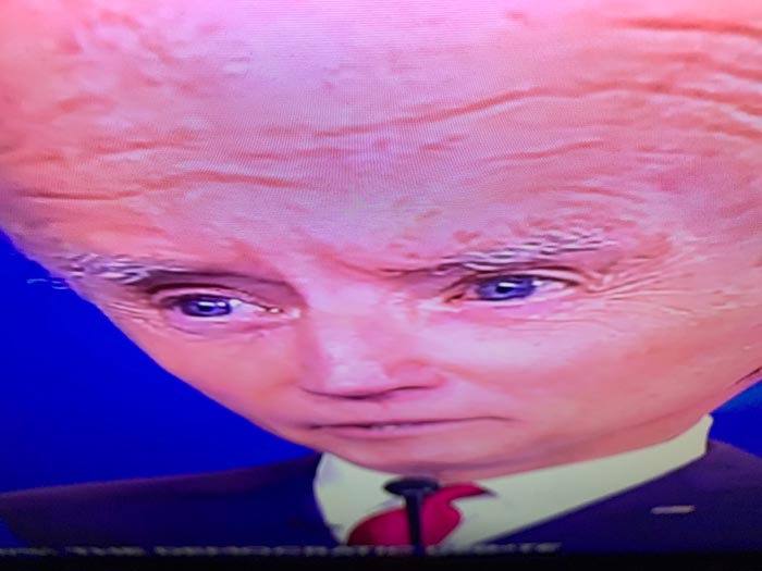 "Putting Your Phone Near The Top Of Your TV And Tilting It Down Turns The Candidates Into Debating Big Brains"