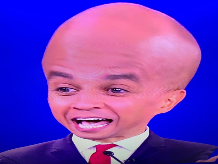 "Putting Your Phone Near The Top Of Your TV And Tilting It Down Turns The Candidates Into Debating Big Brains"