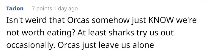 This Comic Strip Only Looks Funny Until You Learn This Could Actually Happen