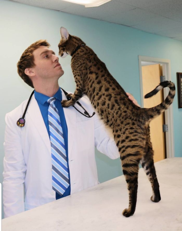 People Said We'd Fail, But My Family Clinic With Video Games And Therapy Cats Is Full Only 6 Months After Opening People Said We'd Fail, But My Family Clinic With Video Games And Therapy Cats Is Full Only 6 Months After Opening