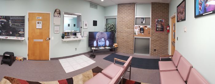 People Said We'd Fail, But My Family Clinic With Video Games And Therapy Cats Is Full Only 6 Months After Opening