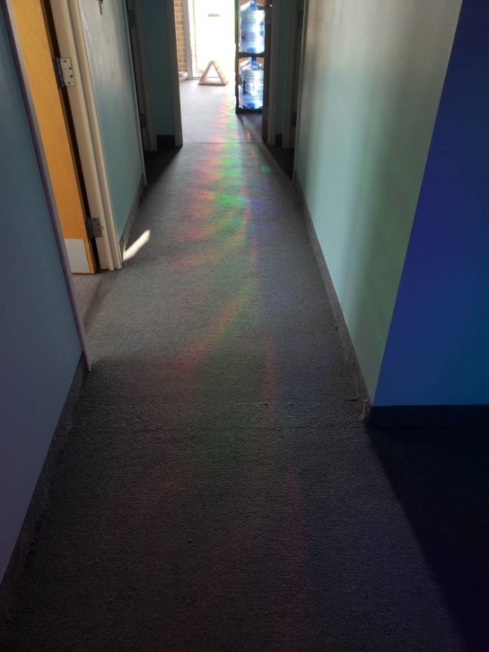 People Said We'd Fail, But My Family Clinic With Video Games And Therapy Cats Is Full Only 6 Months After Opening